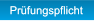 Pruefungspflicht